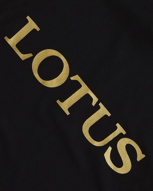 photo n°6 : Maillot LOTUS F1 Team Replica