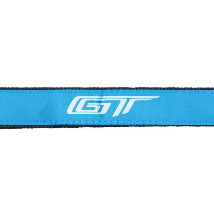 photo n°4 : Lanyard FORD GT